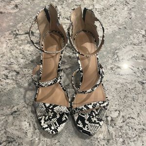 Kelly & Katie size 8 black & white snake skin
